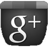 Google Plus Icon 